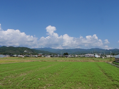 29番礼所 国分寺