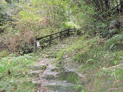 30日目:58番仙遊寺~61番香園寺(香園寺宿坊)の記録写真 24