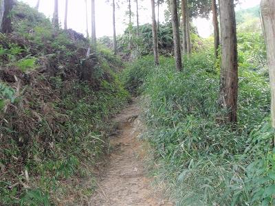 29日目:53番円明寺~58番仙遊寺(仙遊寺宿坊)の記録写真 40
