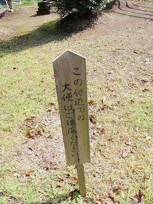 32日目:65番三角寺~68番観音寺(観音寺サニーイン)の記録写真 23