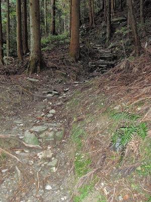 30日目:58番仙遊寺~61番香園寺(香園寺宿坊)の記録写真 25