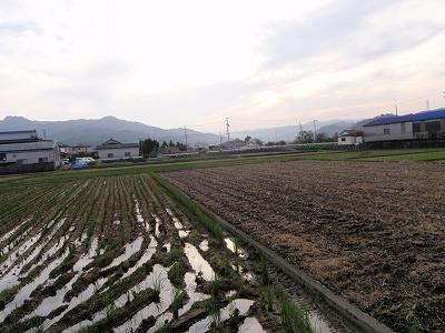 29日目:53番円明寺~58番仙遊寺(仙遊寺宿坊)の記録写真 36