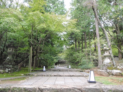 木々に包まれた竹林寺の参道