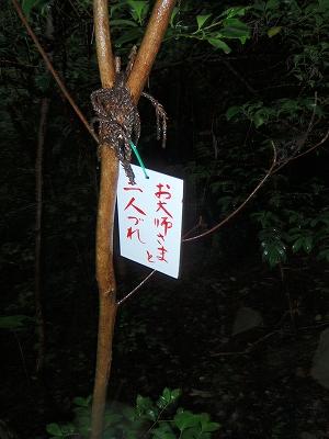12番 遍路ころがしの記録写真 6
