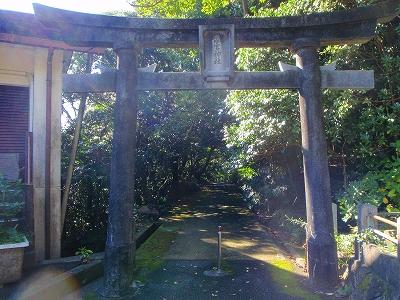 黒潮接岸地