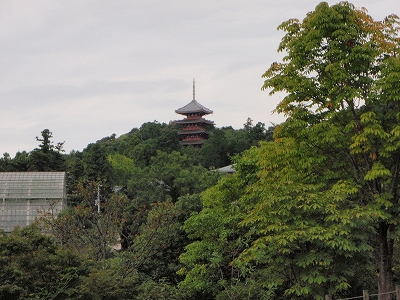 竹林寺の記録写真 4
