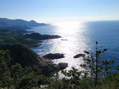 38番 足摺岬の歩き方の記録写真 10