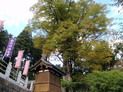 32日目:65番三角寺~68番観音寺(観音寺サニーイン)の記録写真 27
