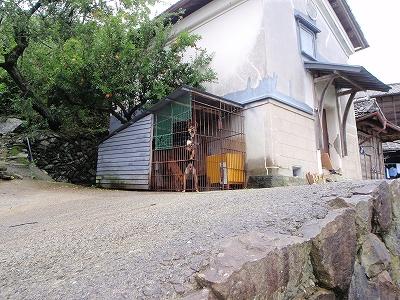 12番 遍路ころがしの記録写真 12