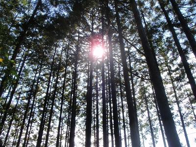 44番、45番への歩き方の記録写真 11