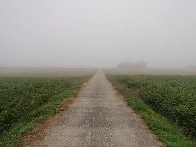 朝霧を歩く
