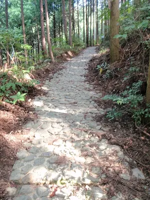 珍しい鎖場(歯長峠)