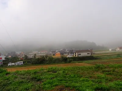 霧の窪川