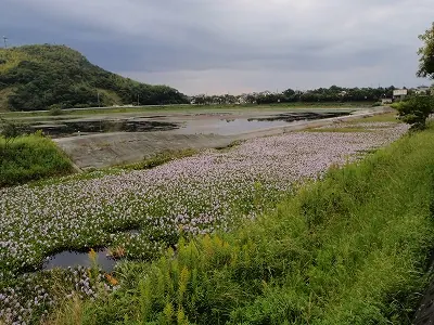 石土池