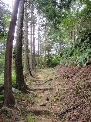松尾峠