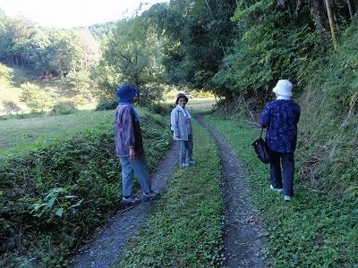 龍角散のど飴(開封済み)