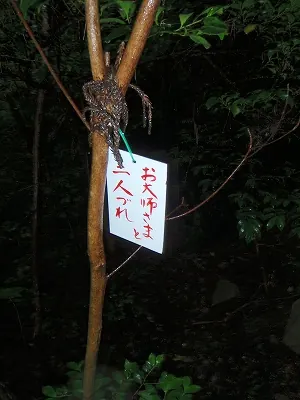 お札パターン(山中に多い)