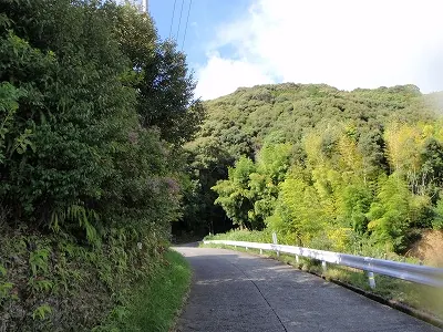 ２７番礼所 神峯寺（こうのみねじ）