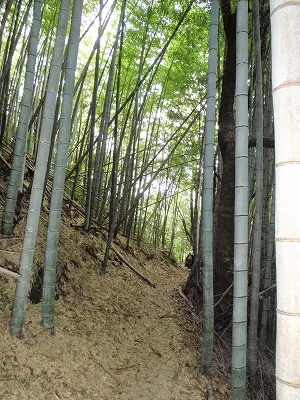 ２２番礼所 平等寺