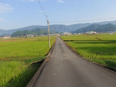 まっすぐな道