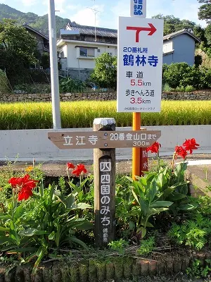 分かりやすい