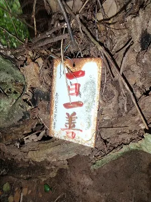 一日一膳お札