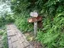 P7100125.jpg