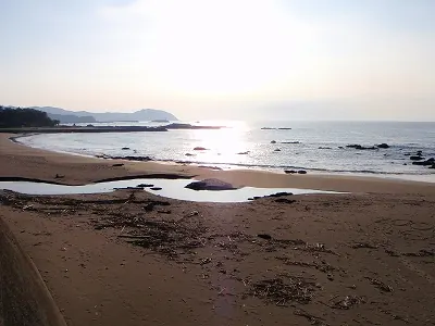 浮鞭海岸