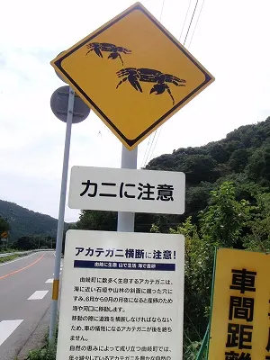 日和佐の「カニに注意」