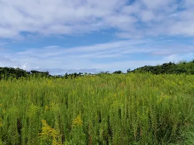 中山峠(なはりの手前)