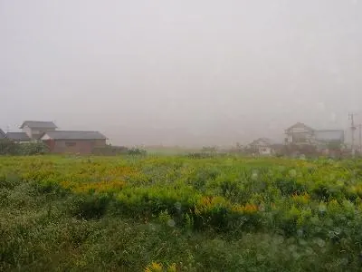 17日目:37番岩本寺~(民宿たかはま)