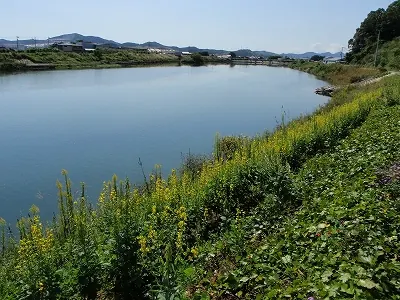 国分川