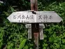 P7100122.jpg