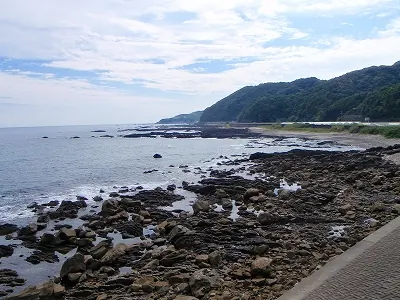 56号線を黒潮町へ