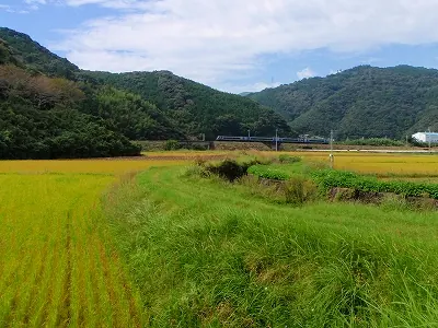 土佐くろしお鉄道