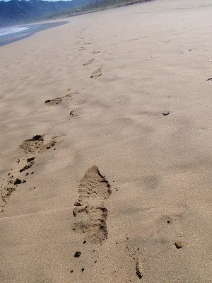 浜遍路道(大岐の浜)