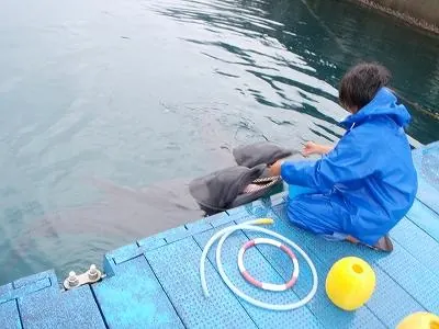 室戸ドルフィンセンターのおねーさん